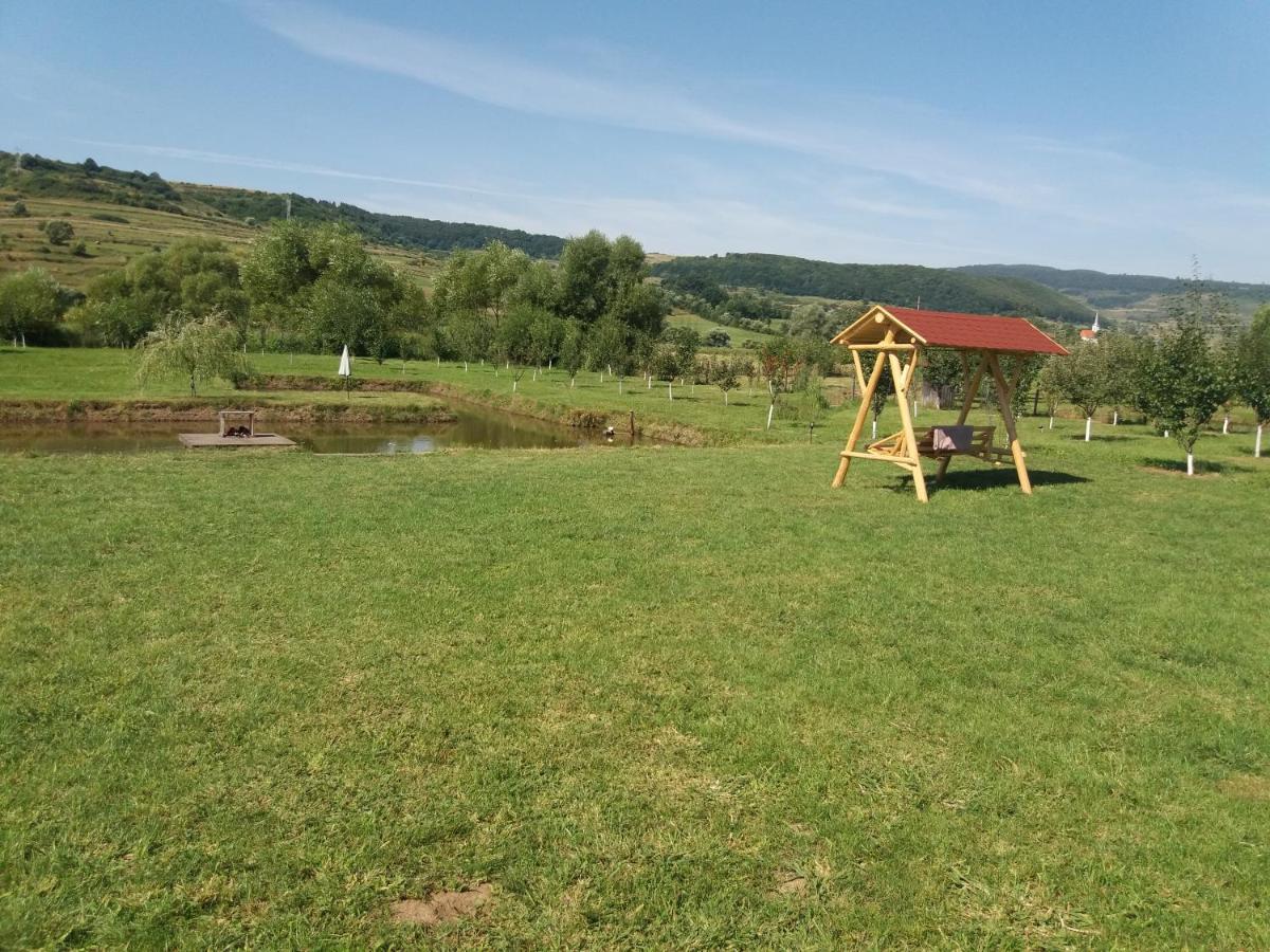 Kacso Apartma Ocna de Sus Esterno foto