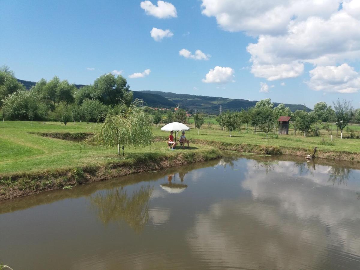 Kacso Apartma Ocna de Sus Esterno foto