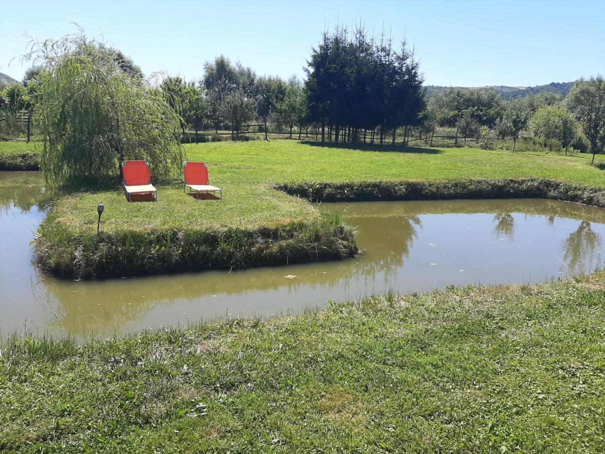 Kacso Apartma Ocna de Sus Esterno foto