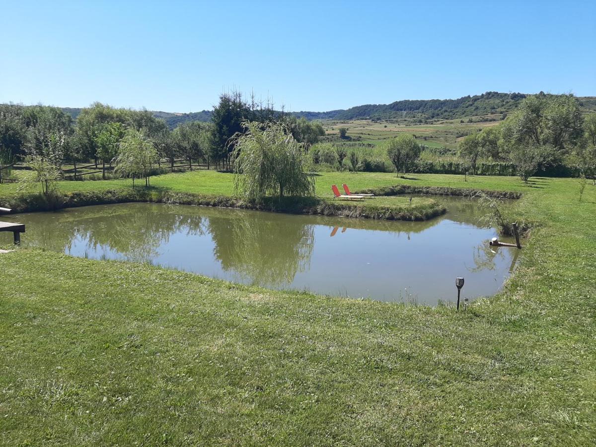Kacso Apartma Ocna de Sus Esterno foto