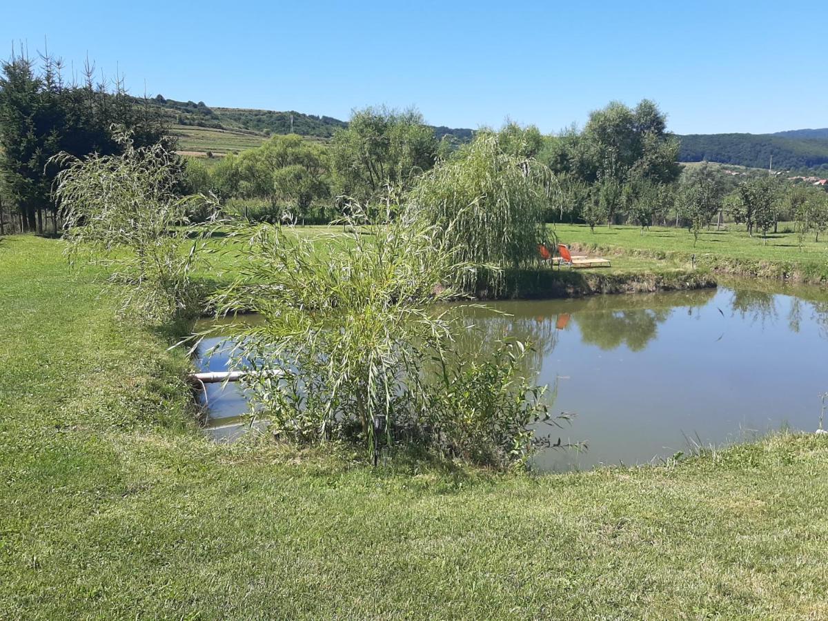 Kacso Apartma Ocna de Sus Esterno foto