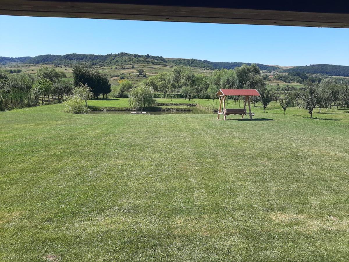 Kacso Apartma Ocna de Sus Esterno foto